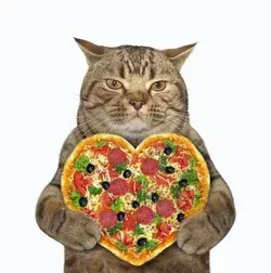 cat eating heart shaped pizza!