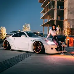 Sexy Girl with Car