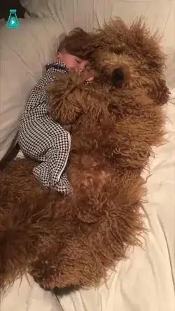 my son love sleeping with dog