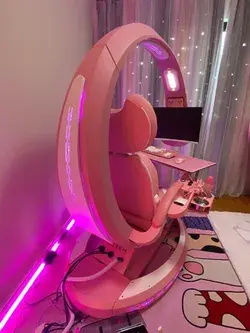Pink Setup - INGREM Computer Workstation