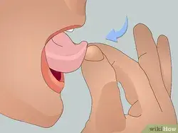 www.wikihow.com