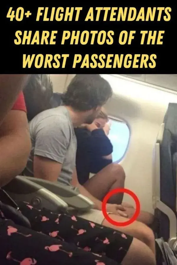 40+ Flight Attendants Share Photos Of The Worst Passengers