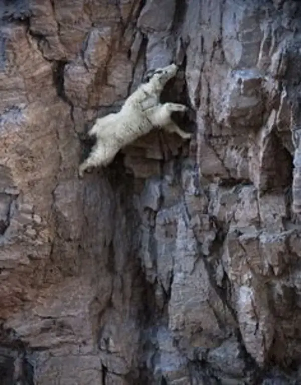 Climbing