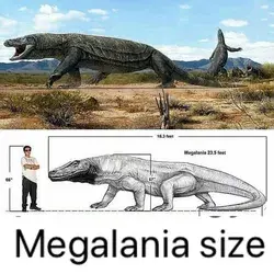 Megalania