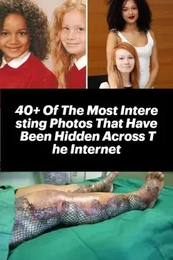 40+ Of The Most Interesting Photos That Have Been Hidden Across The Internet