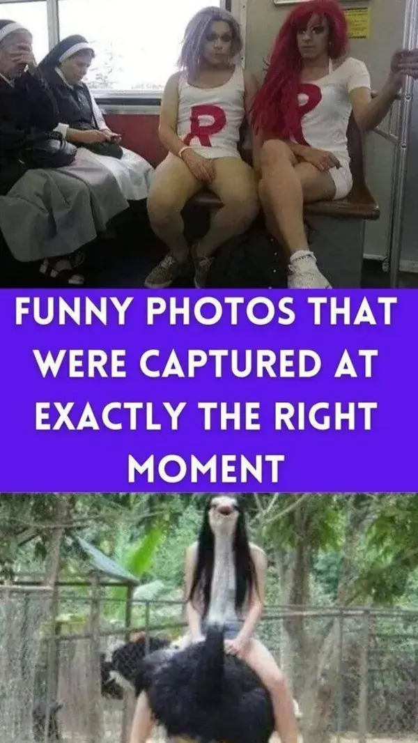 Funny Photos That Were Captured at Exactly the Right Moment