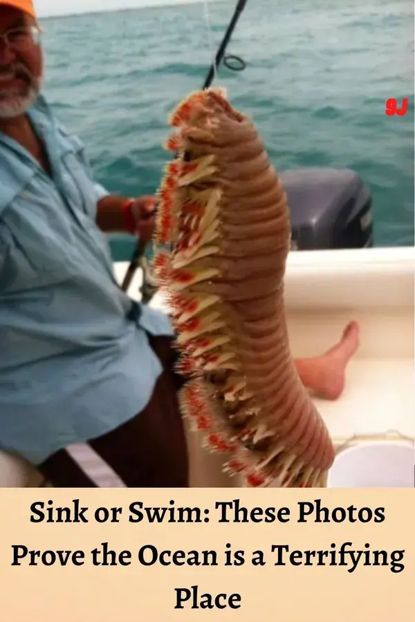 Sink or Swim: These Photos Prove the Ocean is a Terrifying Place