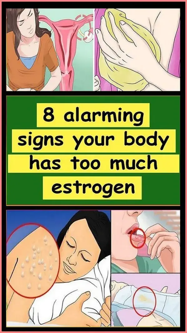 Identifying Estrogen Dominance In The Body And Treating It