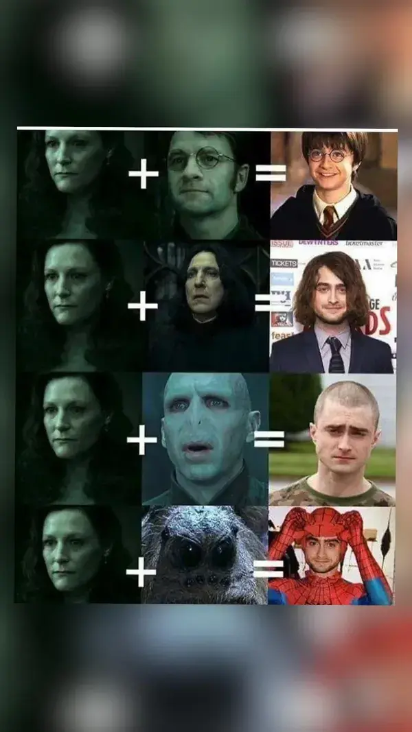 Harry Potter Memes  Part 1