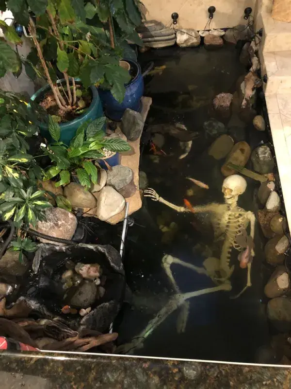 Pond during Halloween