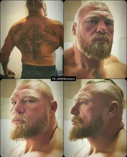 Brock lesnar