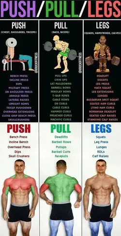 2 Push/Pull Workout Plans - Create a Full Balanced Body With These Workouts - GymGuider.com