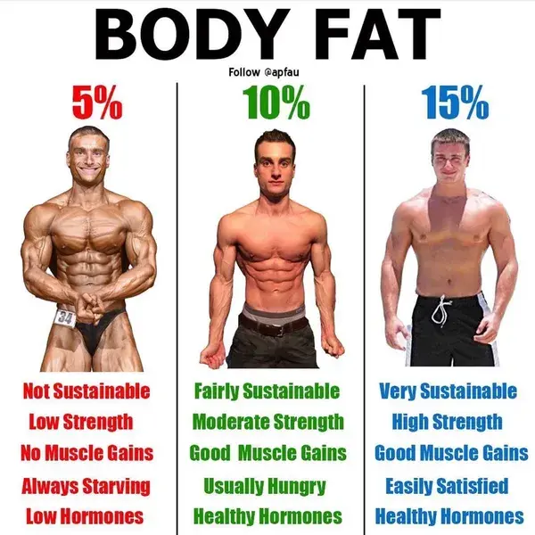 Body Fat Percentage Facts