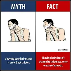 Myth vs Fact about Shaving