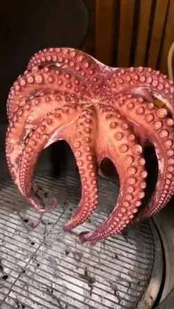 Octopus recipe