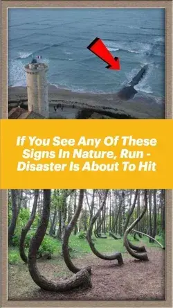 If You See Any Of These Signs In Nature, Run - Disaster Is About To Hit