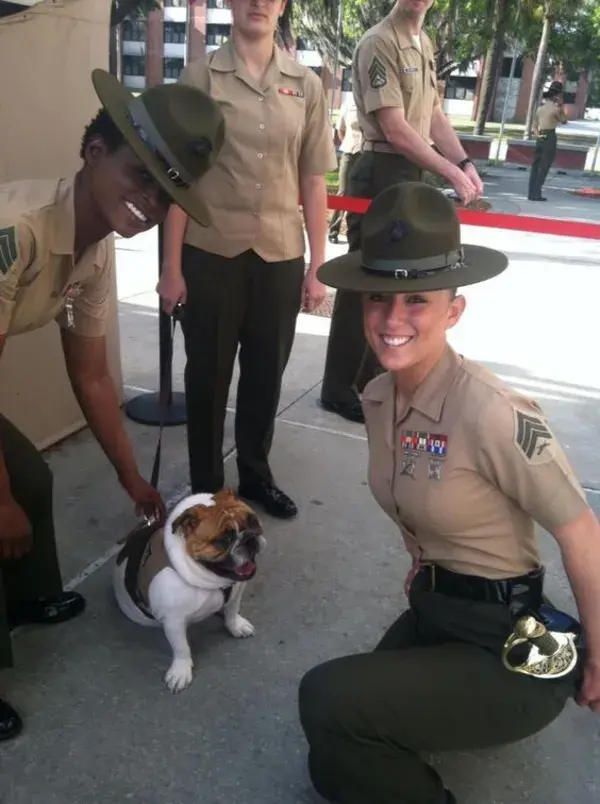 Female Marines And The Official USMC Mascot!