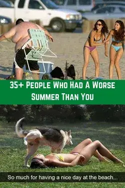 35+ People Who Had A Worse Summer Than You