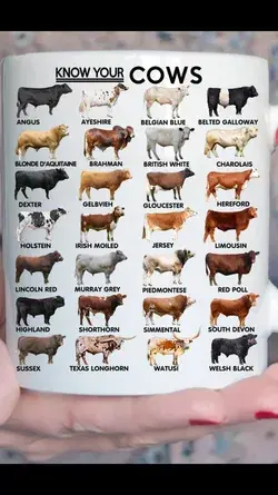 know your cows