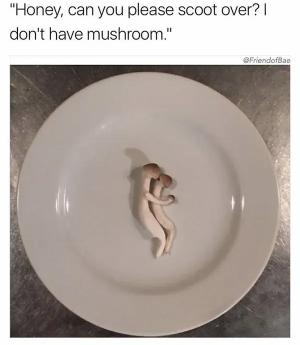 www.shroomery.org