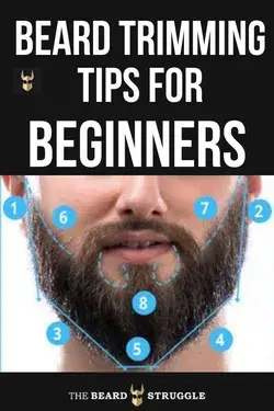 Beard Trimming Tips For Beginners | The Beard Struggle