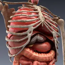 3d medical animation, medical animation, 3d animation video