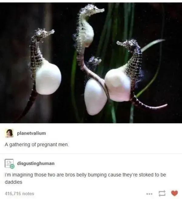 Funny and Delectable Tumblr Gems To Quench The Forever Thirst