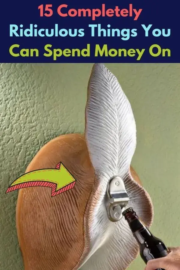 15 Completely Ridiculous Things You Can Spend Money On