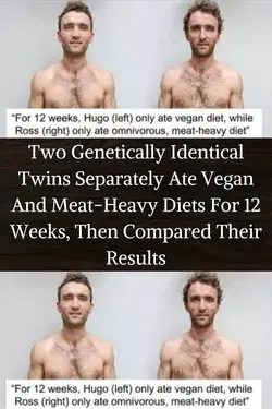 Two Genetically Identical Twins Separately Ate Vegan And Meat-Heavy