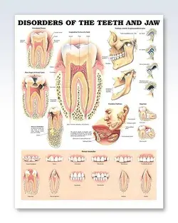 clinicalposters.com