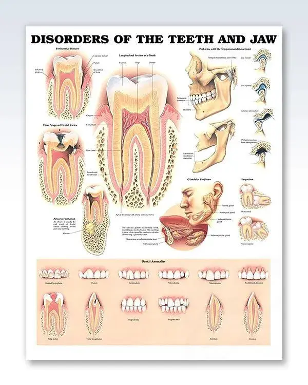 clinicalposters.com