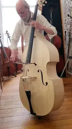 Double Bass