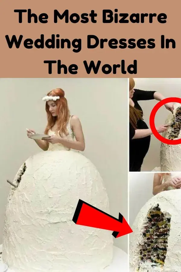 The Most Bizarre Wedding Dresses In The World