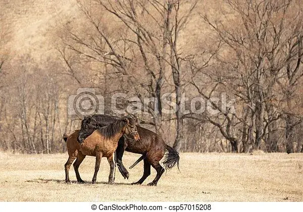 www.canstockphoto.es