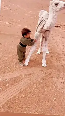 Cute baby with baby camel
