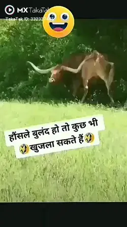 Bull funny moment 🐂🐂🤣🤣