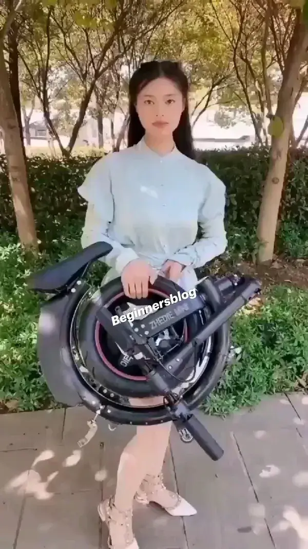 Electric Bicycle