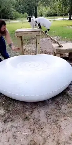 Bouncy time