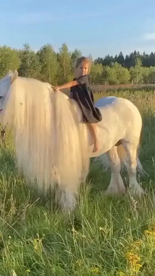 White Horse with Little Girl