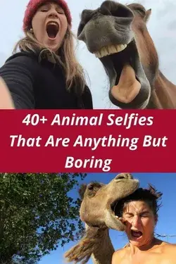 40+ Animal Selfies That Are Anything But Boring
