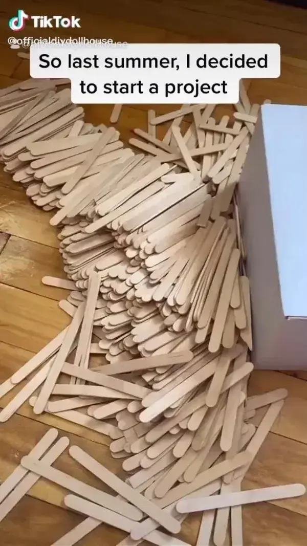 popsicle sticks