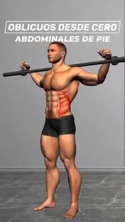 Side Core Mastery: Proven Exercises and Techniques to Tone and Define Your Obliques