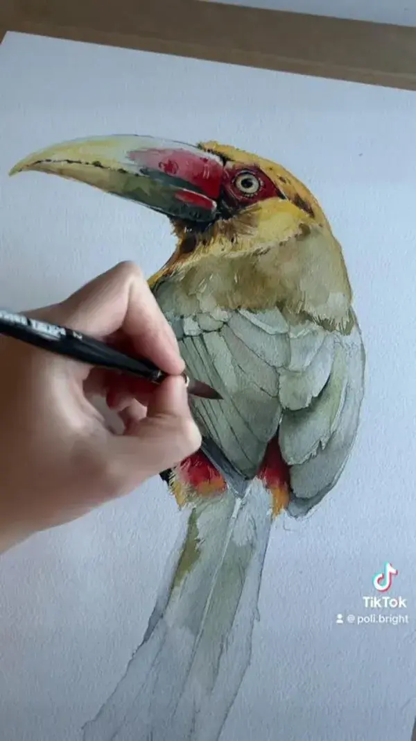 Saffron toucanet by Polina Bright