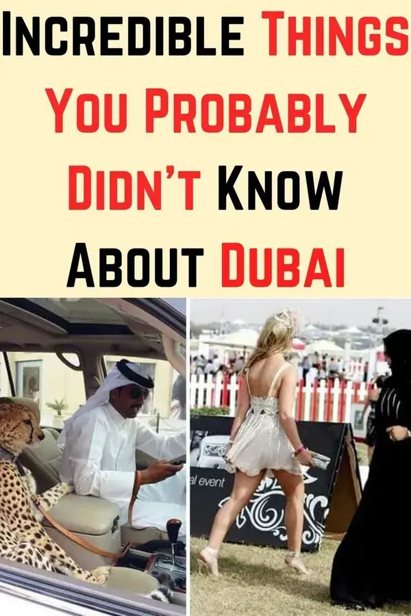 Incredible Things You Probably Didn't Know About Dubai