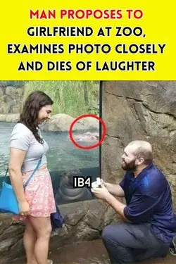Man Proposes To Girlfriend At Zoo, Examines Photo Closely And Dies Of Laughter