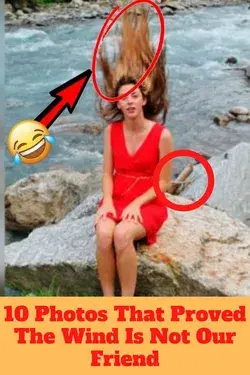 10 Photos That Proved The Wind Is Not Our Friend