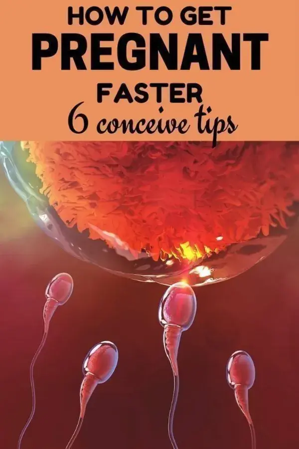 How To Get Pregnant Faster 6 Conceive Tips >>Try This & Watch The Free Video Now