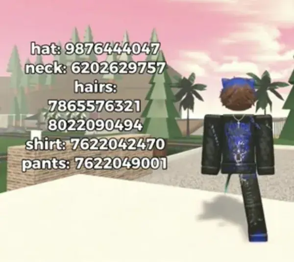 Boy outfit codes