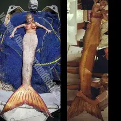 Mako mermaid tail vs h2o tail