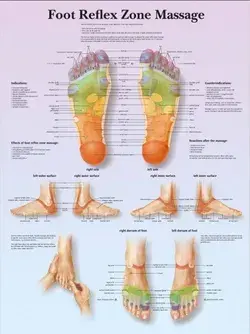 Foot Reflex Zone Massage Chart Poster EDUCATIONAL SCIENCE - Etsy UK